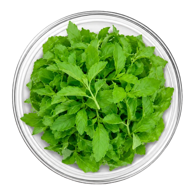 Tulsi