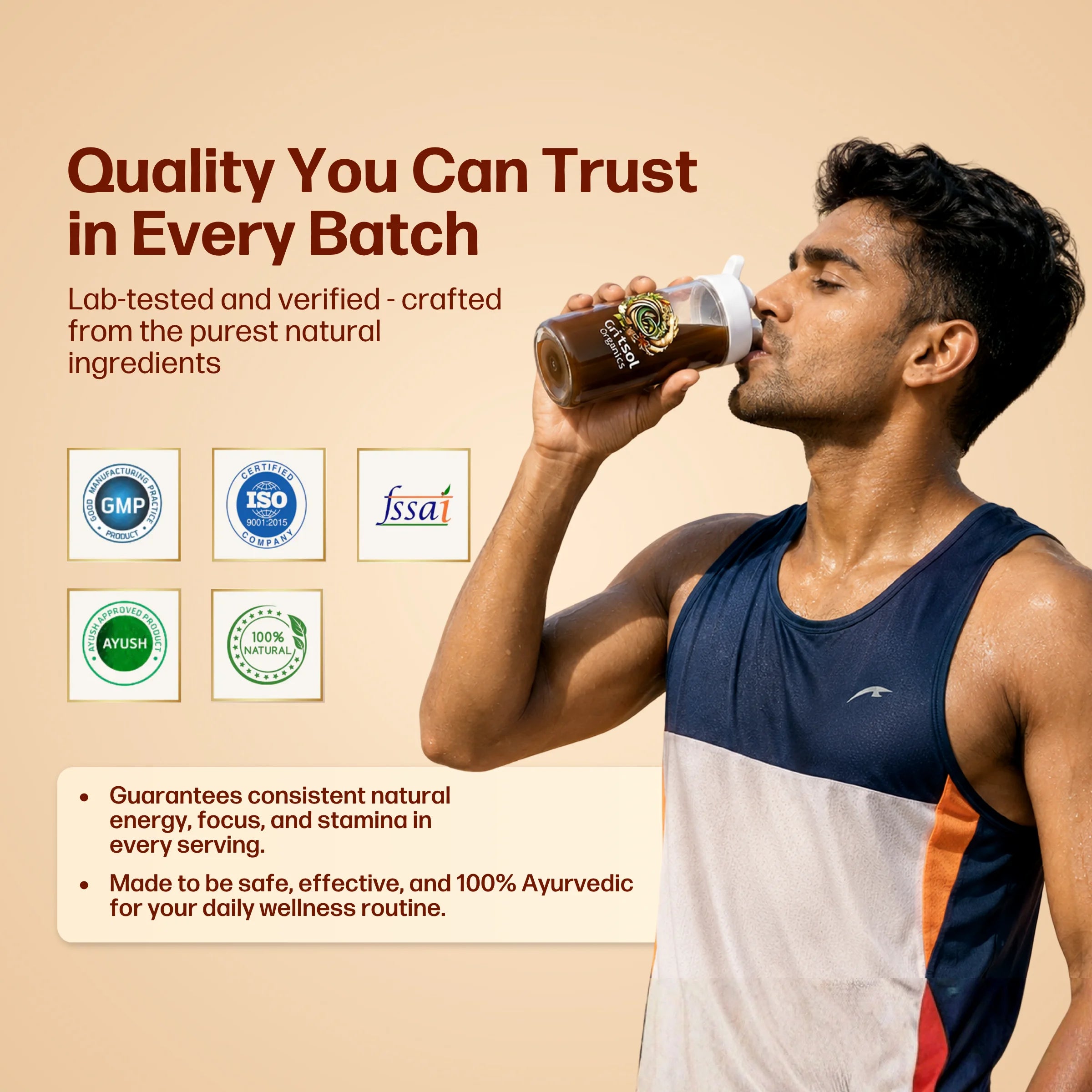 Gritsol Organics - 100% Ayurvedic - Full Day Energy