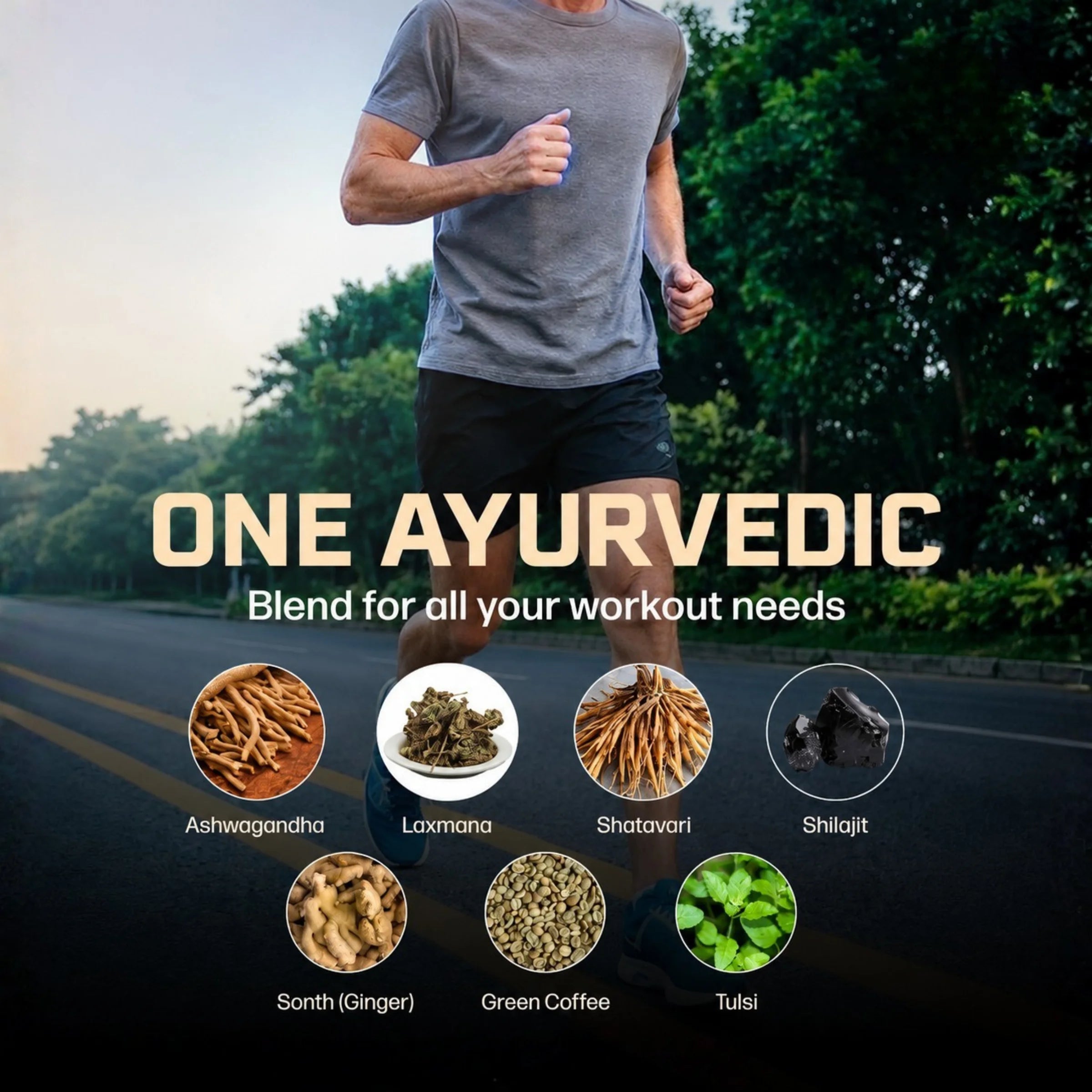 Gritsol Organics - 100% Ayurvedic - Full Day Energy