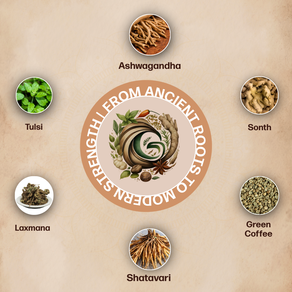 Gritsol 100% Ayurvedic Pre-Workout